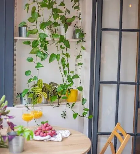 아파트 Chic 1br - Amzei Square 부쿠레슈티